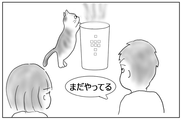 しつこい猫