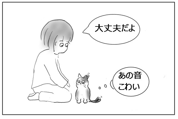 寝ない猫