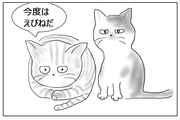 察する猫