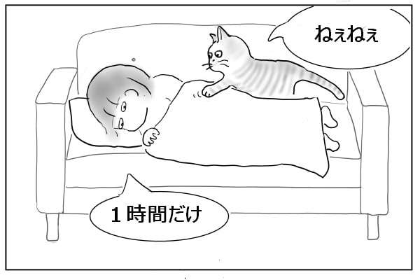 乗る猫