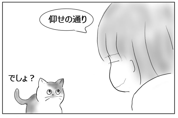 猫の望み通り