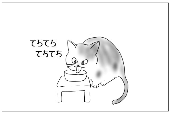 水を飲む猫