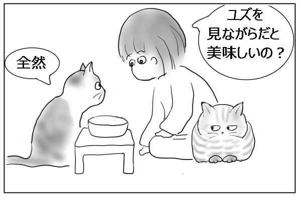 飼い主と猫たち