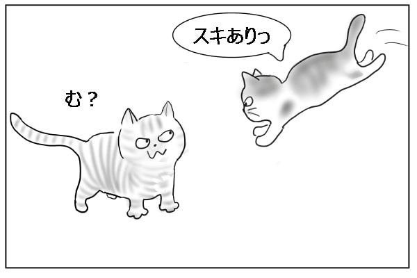 やり返す猫