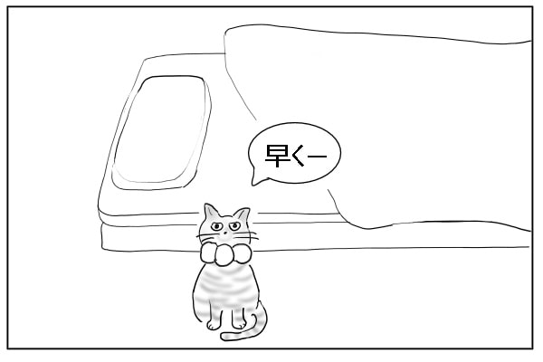 待つ猫