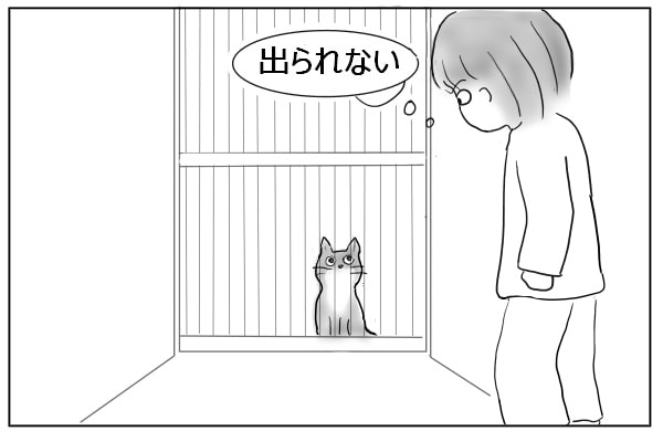 猫の待ち伏せ