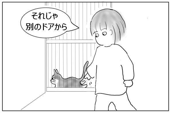 別のドアから