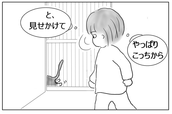 フェイント