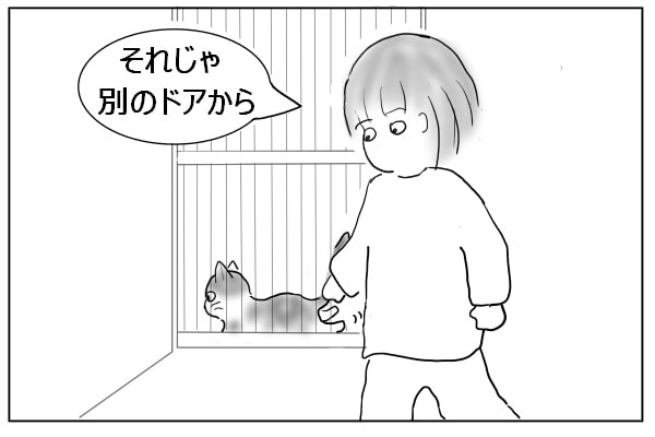 またフェイント