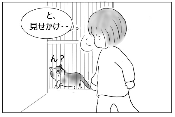 振り返る猫
