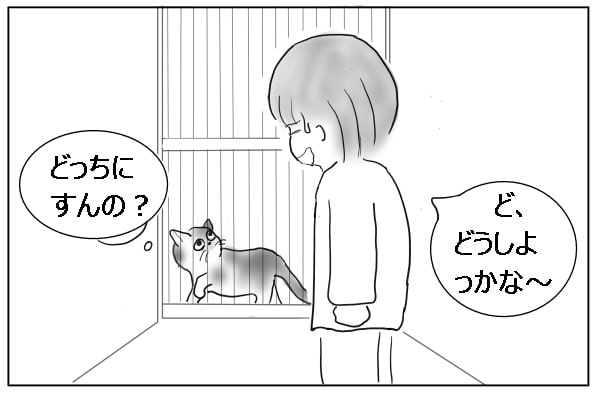 固まる人