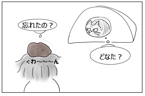 忘れた猫