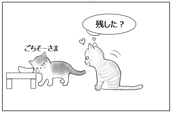 期待する猫