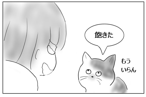 飽きっぽい猫