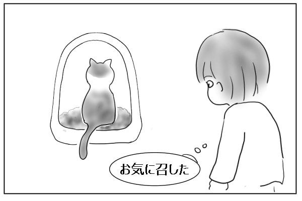 トイレする猫