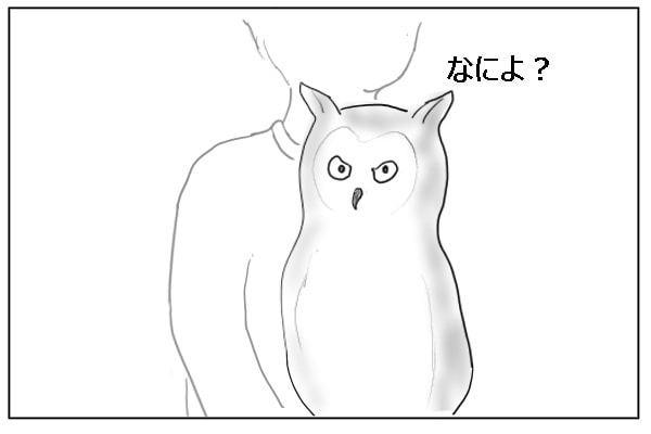 みみずく