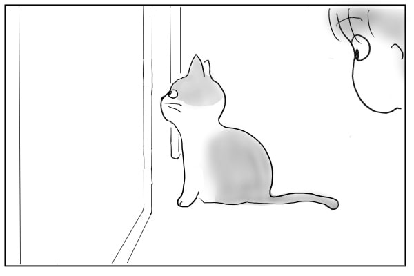 窓の