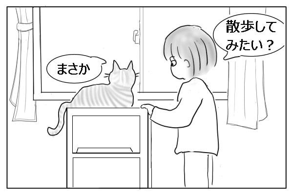 日向ぼっこ
