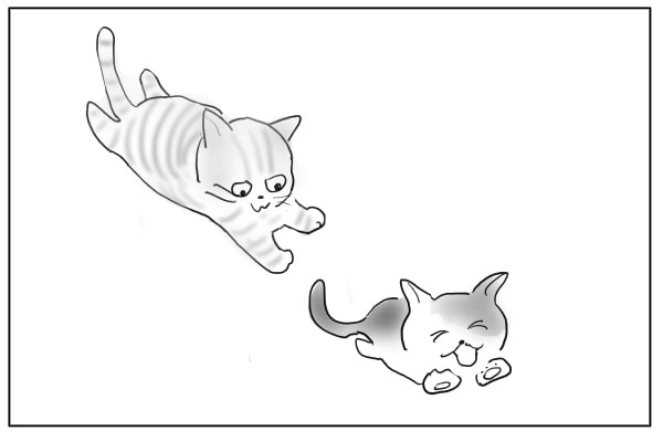 追いかけっこ