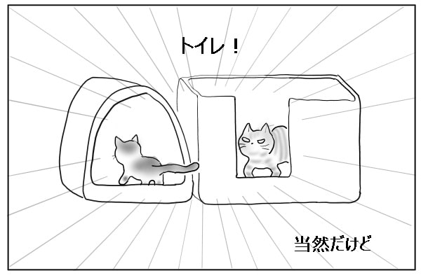 猫トイレ