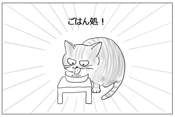 猫のゴハン