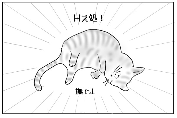 甘える猫