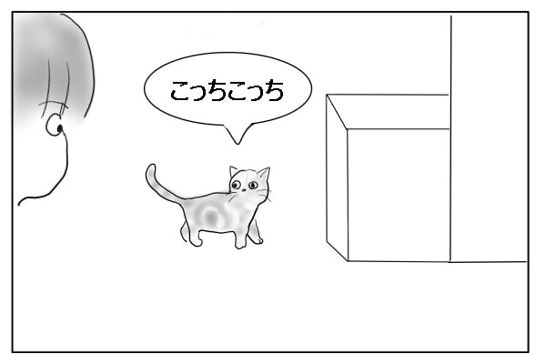 決まった場所