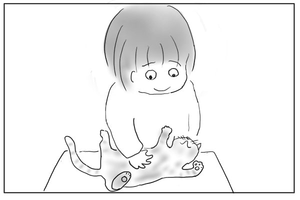 お腹を見せる猫