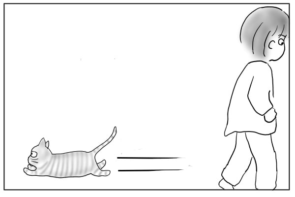 お互いの思惑