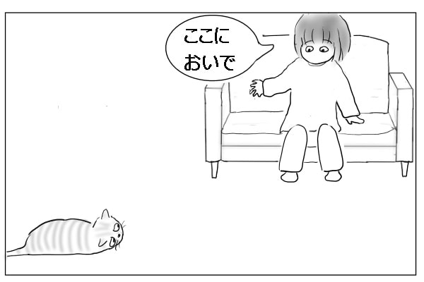 ソファと床