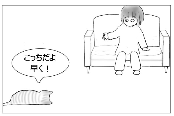 猫の主張