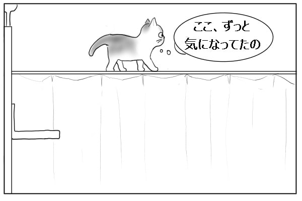 カーテンの上