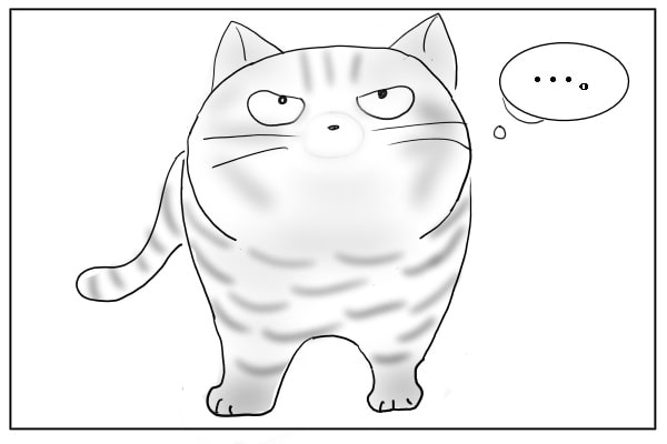 真似したい猫