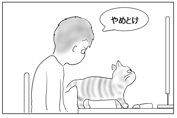 止める人