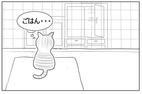 ゴハン待ちの猫