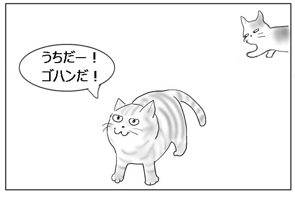 待ち遠しいごはん