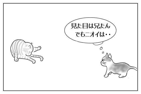 警戒は解けない