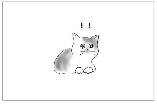 気づく猫