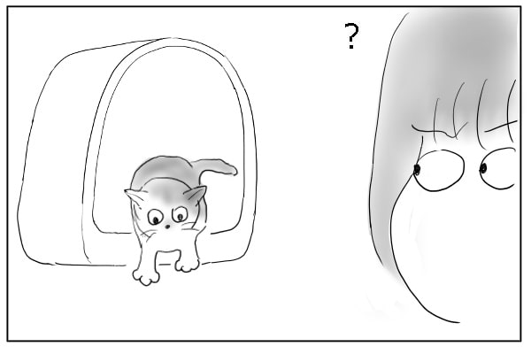 あっという間
