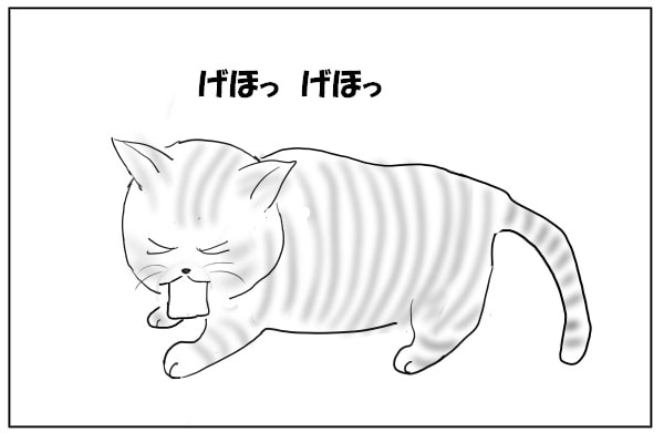吐く猫