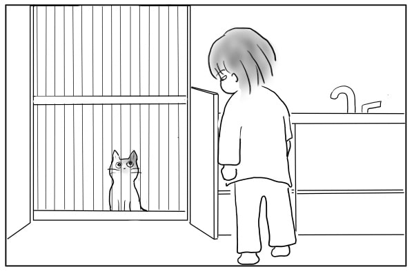 ドアの前に猫