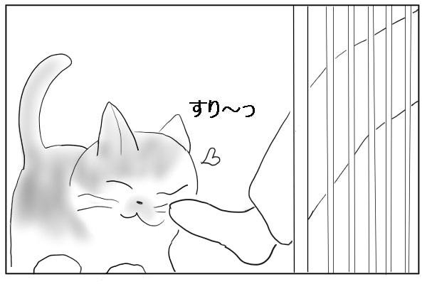 足と猫