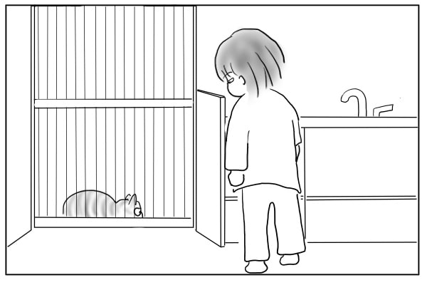 居座る猫