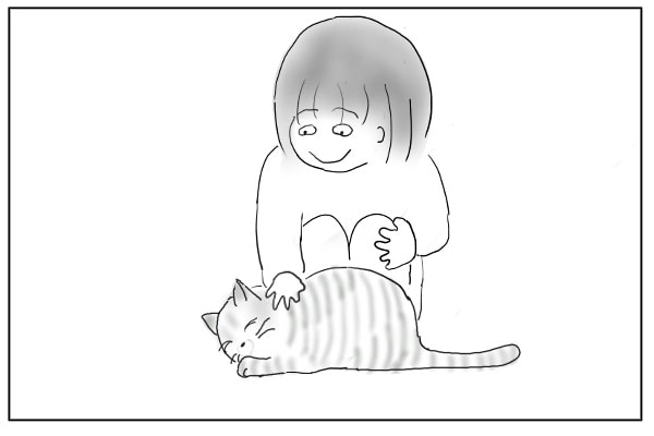 ご機嫌を直す猫
