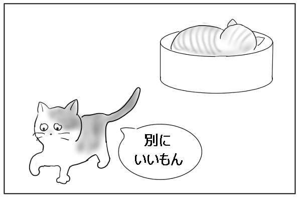 諦める猫