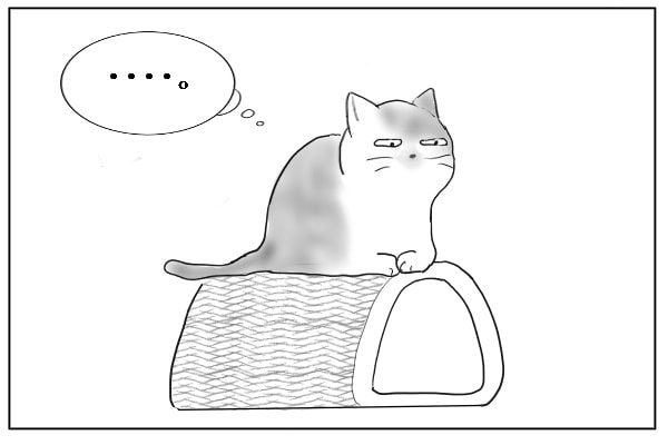 爪とぎに乗って