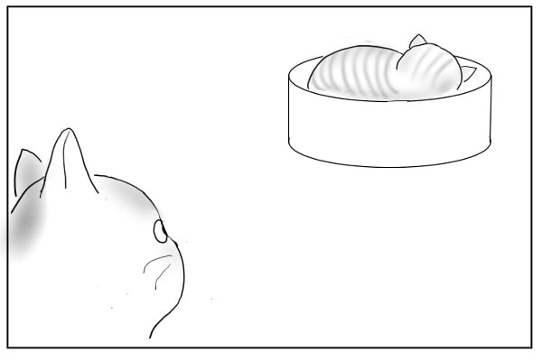 隣の芝
