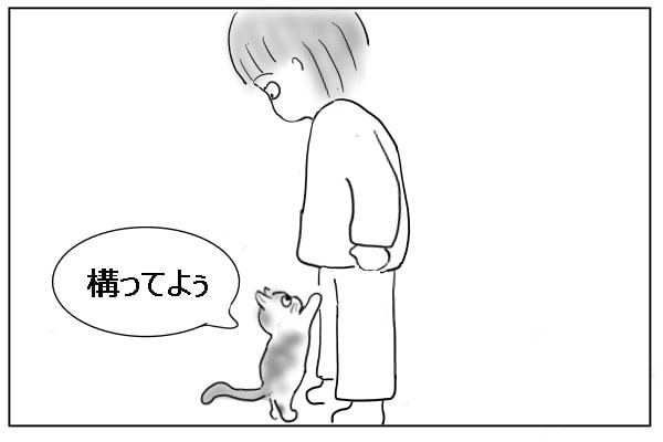 ヒマな猫