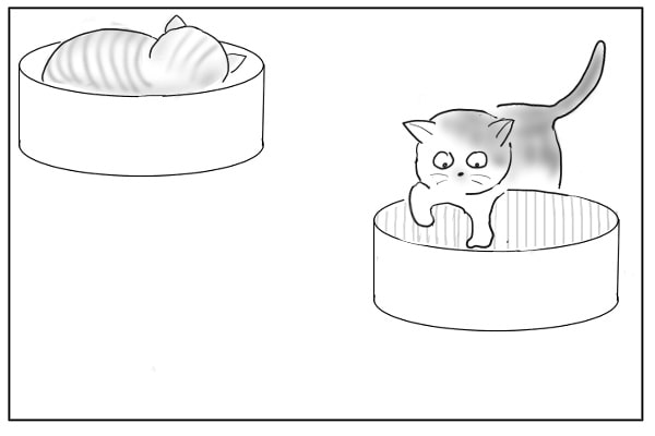 とりあえず入る