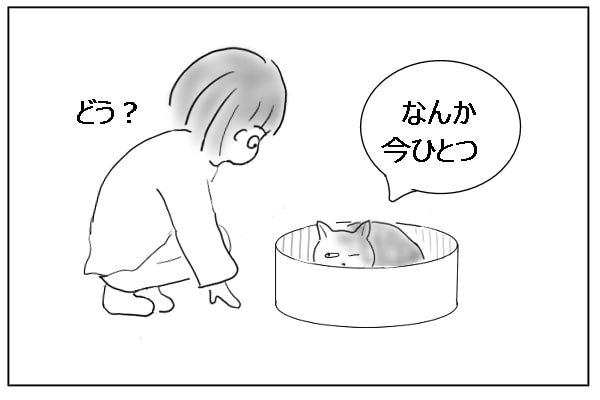ちょっと不満